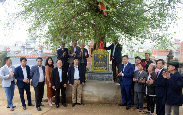 [-]Làng[-]Khê[-]Tang[-]lần[-]thứ[-]2[-]đón[-]nhận[-]Cây[-]Di[-]sản[-]Việt[-]Nam